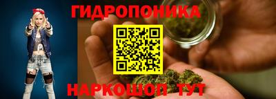 круглые Кингисепп