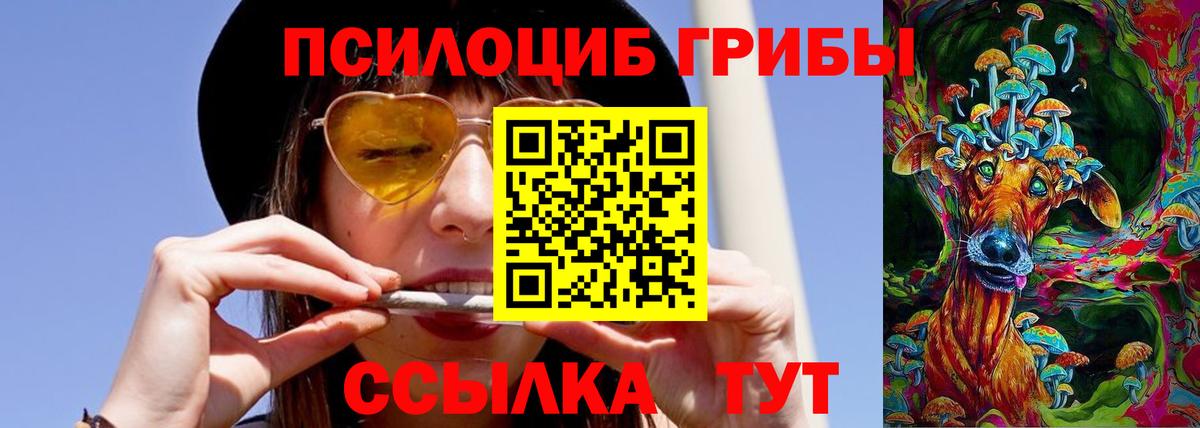 Биробиджан  Псилоцибиновые грибы прущие грибы  Вход с VPN  Псилоцибиновые грибы Magic Shrooms 